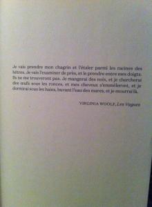 10841716_10152436785187413_1222297270_n