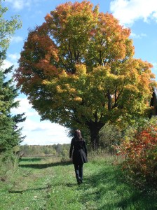 Raphaelle_nature_inspiration_1