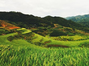 La vallée de Sapa, Vietnam.  Crédit photo: Wendy Tran