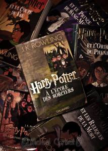 11349939_10152975511738391_1175056583_n