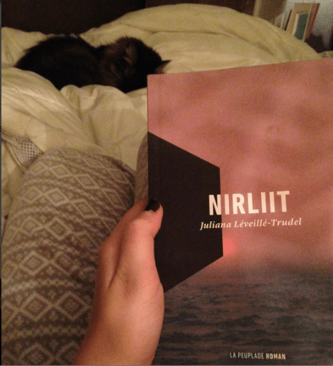 Capture d’écran 2016-01-01 à 13.37.24