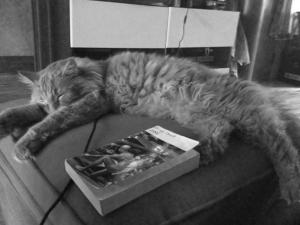 12106730_10156243711265220_2268794060450159972_n