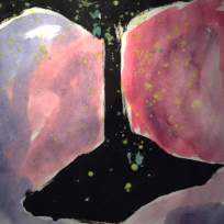 12931274_1571316726513451_7412268975789923553_n