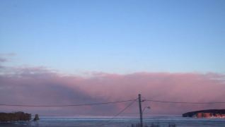 12980401_716348661841438_563931395_n