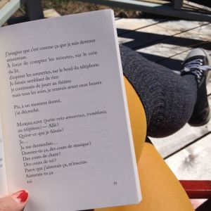 13293246_736494233160214_1655254077_n