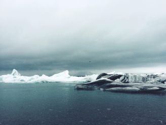 13131530_10156901606805475_6471238438009692820_o