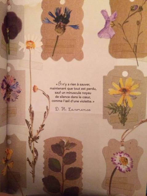 13901967_10208431512279347_1096939193_o 2