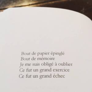 14256437_790037311139239_415168225_n