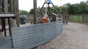 13734819_1181791965197160_317714825_n