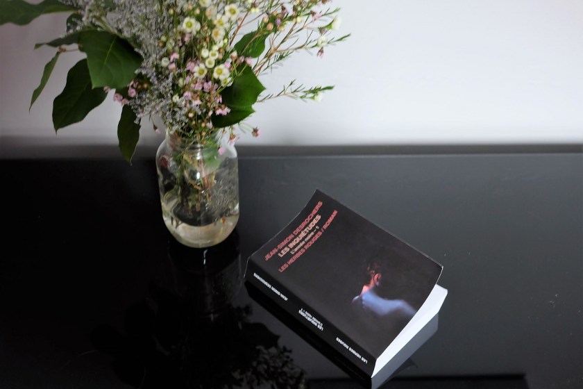 Le fil rouge le fil rouge lit bibliothérapie littérature lecture livres les livres qui font du bien Jean-Simon DesRochers Les inquiétudes L'année noire