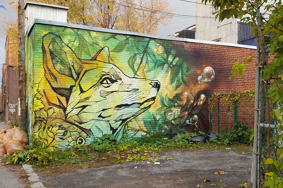 Hochelaga, street art, 375è de Montréal