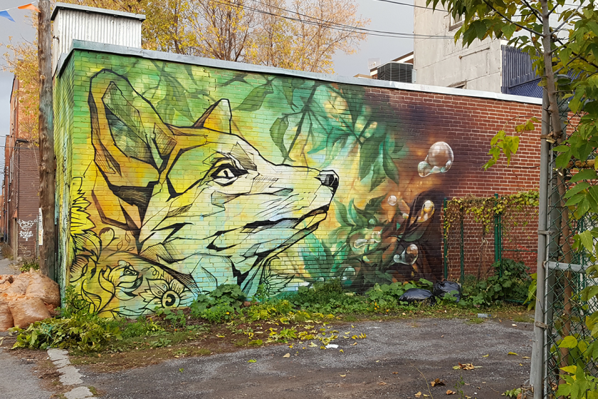 Hochelaga, street art, 375è de Montréal