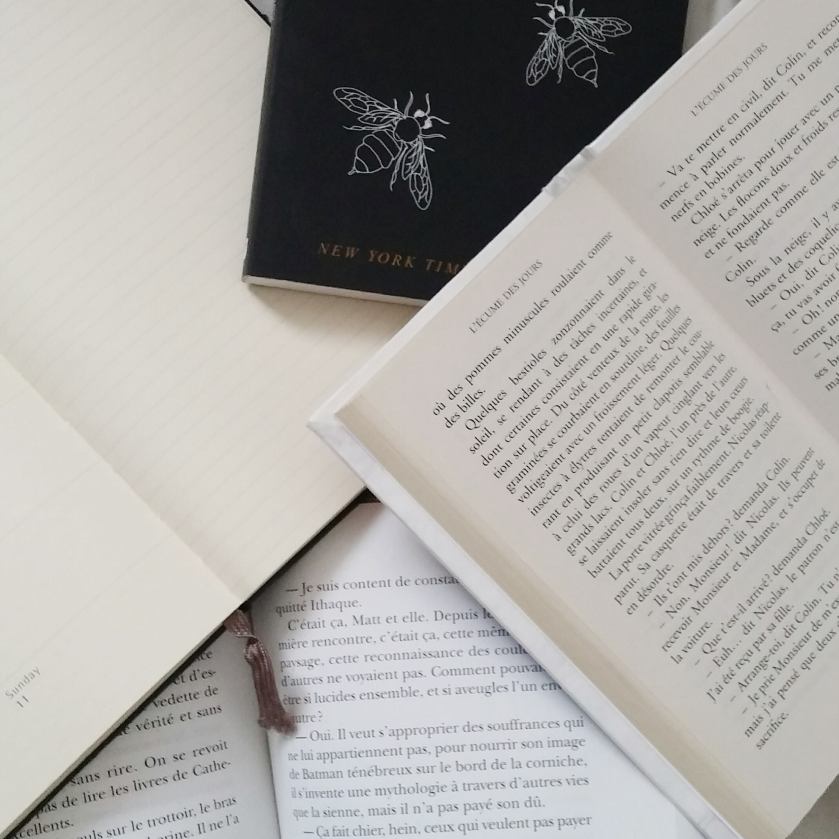 coup de coeur, jane eyre, page turner, littérature, livres, lecture, études, étudiants, cégep, prendre le temps, apprécier, charlotte bronte, livre, réflexion, réflexion littéraire