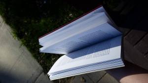 Anne-Marie Beaudoin-Bégin, langue affranchie, le fil rouge, le fil rouge lit, Bibliothérapie, littérature, lecture, livres, essais, essais québécois, les livres qui font du bien, langue française, se raccomoder avec l'évolution linguistique, franglais, Éditions somme toute, Éditions somme toute, identité