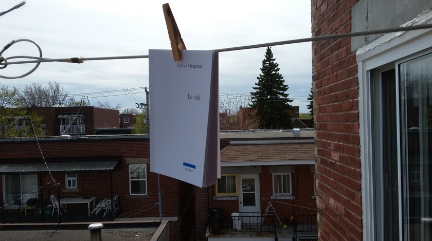 Bibliothérapie, Leméac, Littérature québécoise, Les livres qui font du bien, Roman, Le ciel, Sylvie Drapeau, littérature, livre, le fil rouge, le fil rouge lit, littérature, mère, amour, deuil, fille, livres