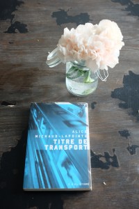 Le fil rouge le fil rouge lit bibliothérapie littérature lecture livres les livres qui font du bien Titre de transport Alice Michaud-Lapointe