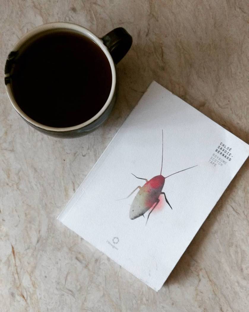 Le fil rouge le fil rouge lit bibliothérapie les livres qui font du bien Royaume Scotch-Tape Chloé Savoie-Bernard Hexagone poésie femme féminisme littérature québécoise