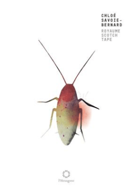 poésie, poésie québécoise, poésie contemporaine, chloé-savoie bernard, livre, littérature, lecture, les livres qui font du bien, le fil rouge lit, bibliothérapie, #lefilrougelit