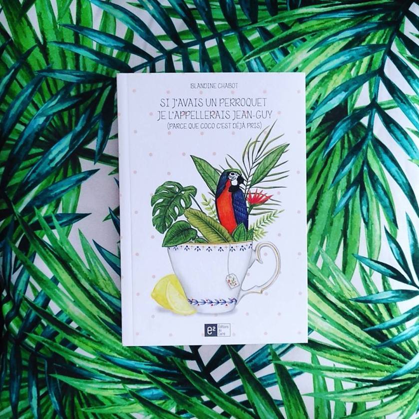 Si j'avais un perroquet, je l'appelerais Jean-Guy (parce que Coco c'est déjà pris), Blandine Chabot, éditions au carré, littérature québécoise, humour, amour, amitié, trahison, le fil rouge, le fil rouge lit, blogue, blog, blogue littéraire, les livres qui font du bien, bibliothécaire