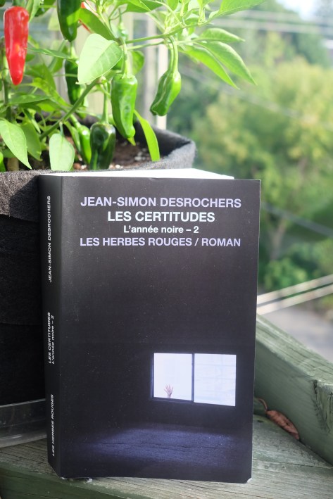 Le fil rouge le fil rouge lit bibliothérapie littérature lecture livres les livres qui font du bien Jean-Simon Desrochers L'année noire Les Herbes rouges
