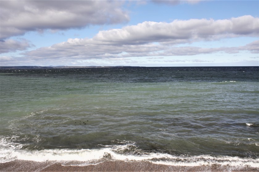 lefilrouge, lefilrougelit, bibliothérapie, leslivresquifontdubien, littérature, livres, lecture, Essai philosophique, essai, écriture, littérature québécoise, réflexion, réflexion littéraire