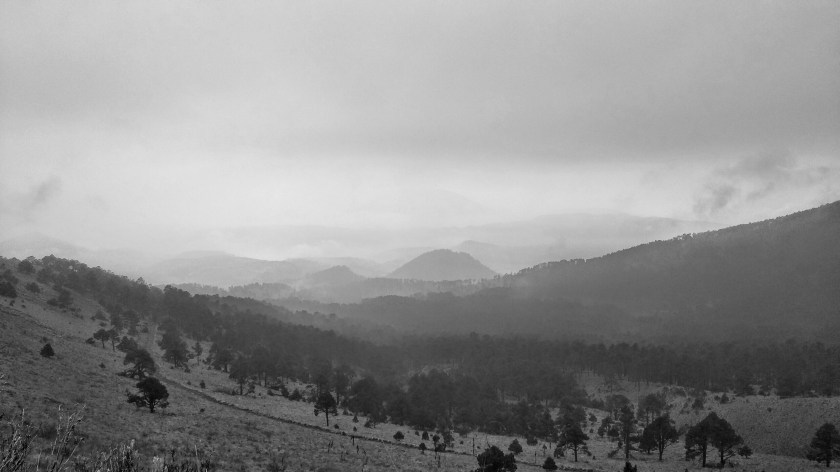 écrire écriture bibliothérapie bien-être exercice d'écriture routines d'écriture travail d'écriture le fil rouge le fil rouge lit lecture listes littérature livres livres qui font du bien