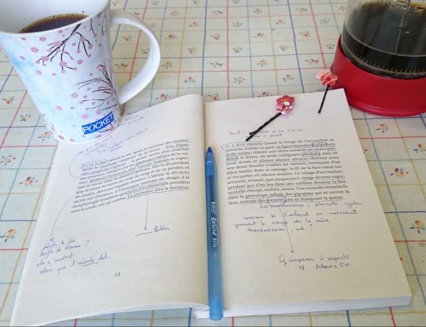 le fil rouge, le fil rouge lit, littérature, lecture, livres, les livres qui font du bien, bibliothérapie, Catherine Lalonde, la dévoration des fées, le Quartanier, poésie québécoise