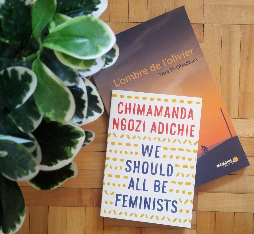 Les livres qui font du bien, Le fil rouge lit, lefilrougelit, littérature, littérature étrangère, lecture, suggestions, 8 mars, femmes, féminisme, racisme, diversité, bibliothérapie