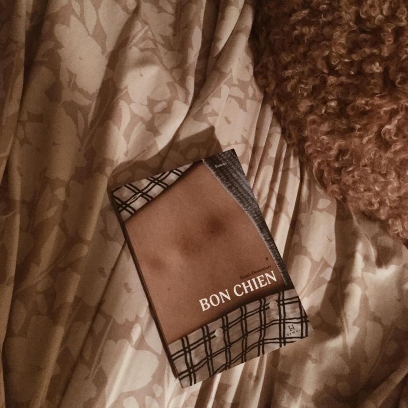 Bon chien, Sarah Desrosiers, Hamac, littérature québécoise, littqc, lefilrougelit, les livres qui font du bien, anxiété de performance, performance, ballet, danse, bibliothérapie, obsession de performance, premier roman