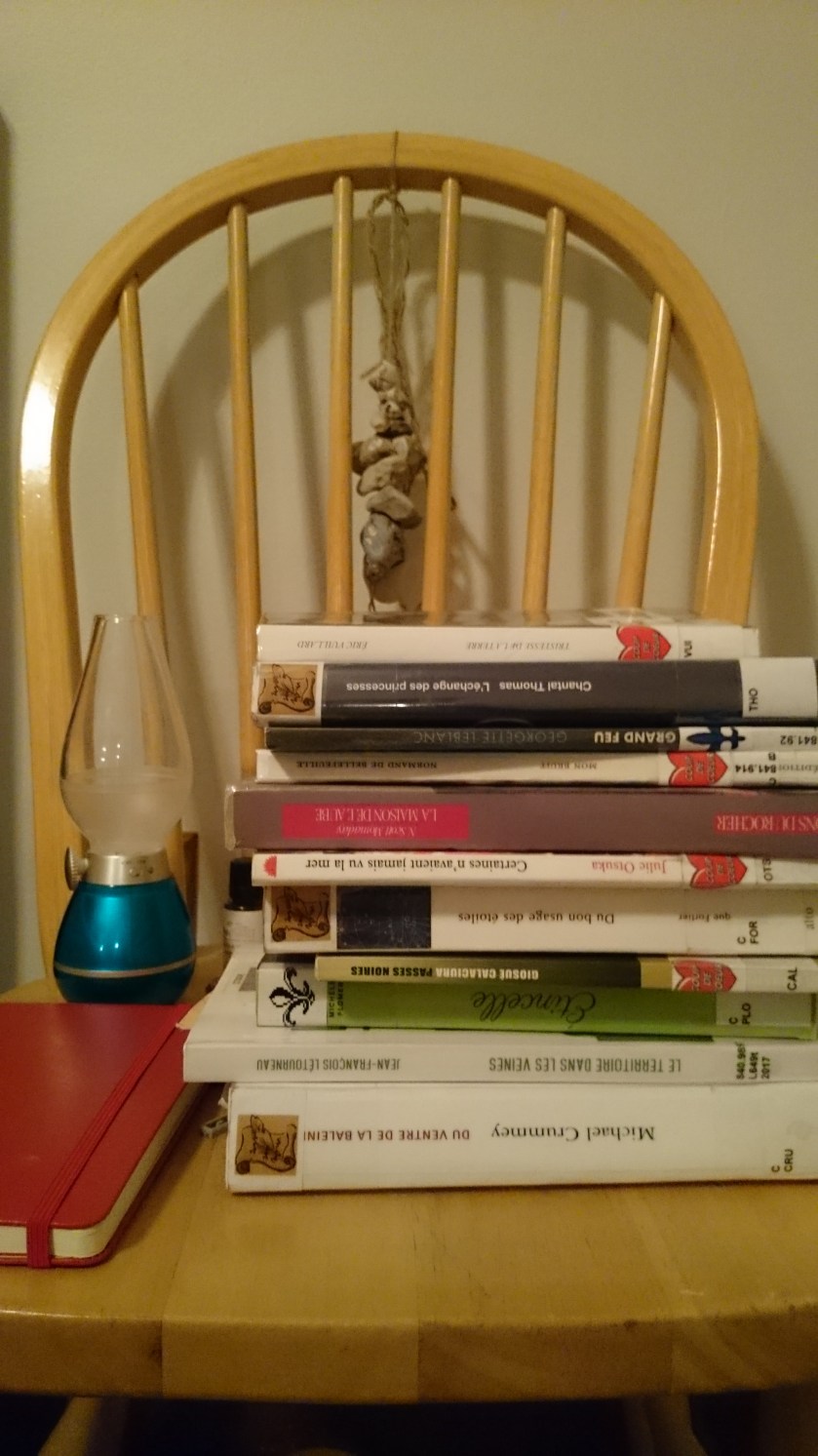 le fil rouge, le fil rouge lit, les livres qui font du bien, littérature, bibliothérapie, lecture, bibliothèque, minimalisme