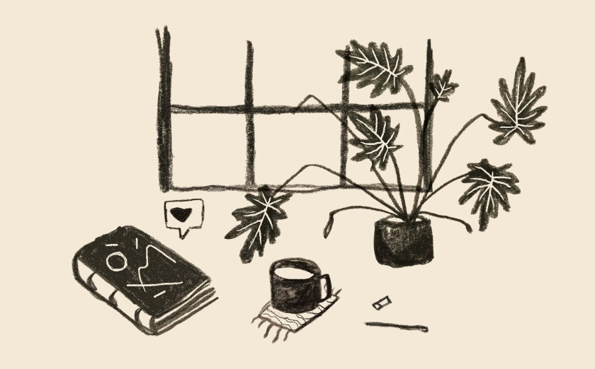 instagram, le fil rouge, le fil rouge lit, réseaux sociaux, internet, photographies, littérature, livres,