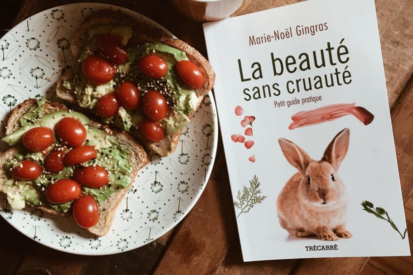 le fil rouge, bibliothérapie, les livres qui font du bien, cruauté animal, véganisme, 21 jours, trécarré, la beauté sans cruauté, Marie-Noël Gingras, essai,