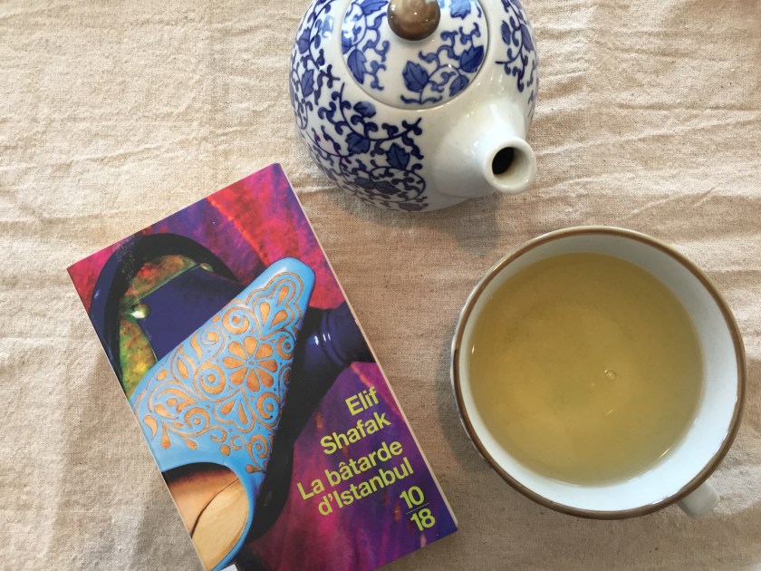 le fil rouge lit, le fil rouge, bibliothérapie, lecture, les livres qui font du bien, Elif Shafak, La bâtarde d'Istanbul, Éditions 10/18, livres qui font voyager, Istanbul, Turquie