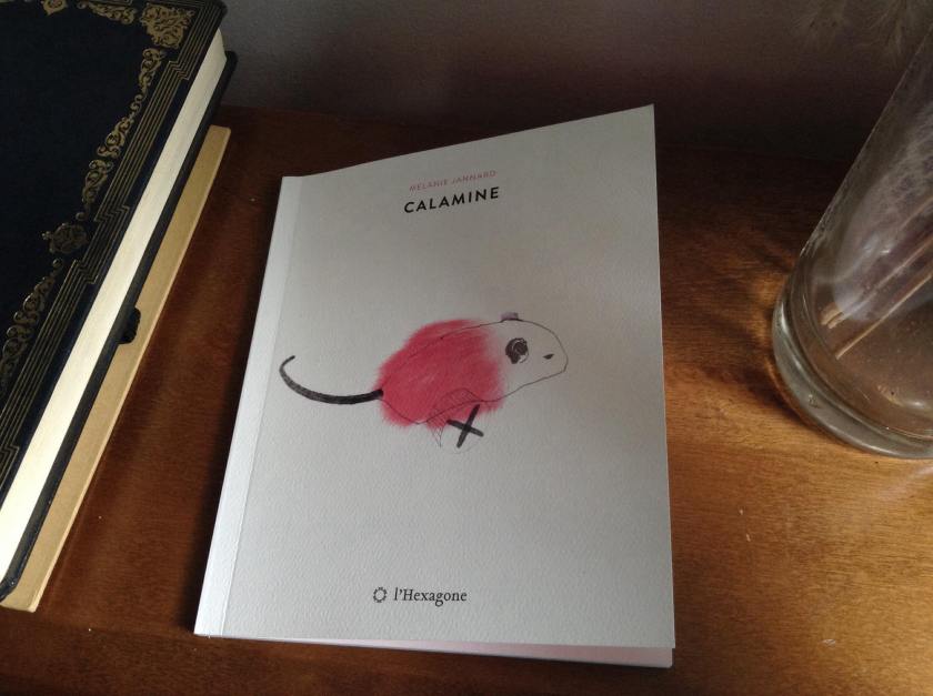 poésie, poésie québécoise, calamine, Mélanie Jannard, éditions l'Hexagone, youtubeuse, découvrir la poésie, poète québécoise, le fil rouge, le fil rouge lit, bibliothérapie, littérature, lecture, livres, les livres qui font du bien,