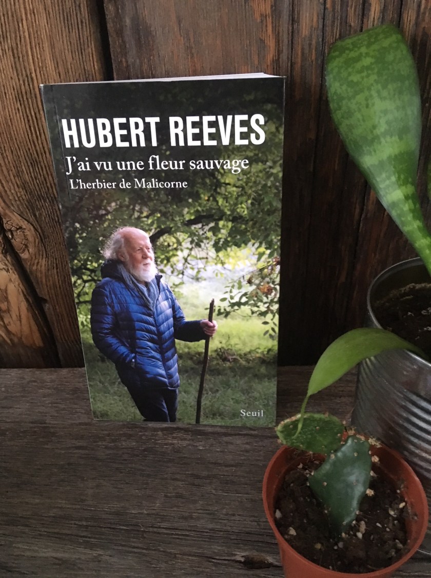 le fil rouge, le fil rouge lit, bibliothérapie, essai, littérature, lecture, livres, livres qui font du bien, Hubert Reeves, J'ai vu un fleur sauvage, L'herbier de Malicorne, fleurs sauvages, nature, écologie, Seuil
