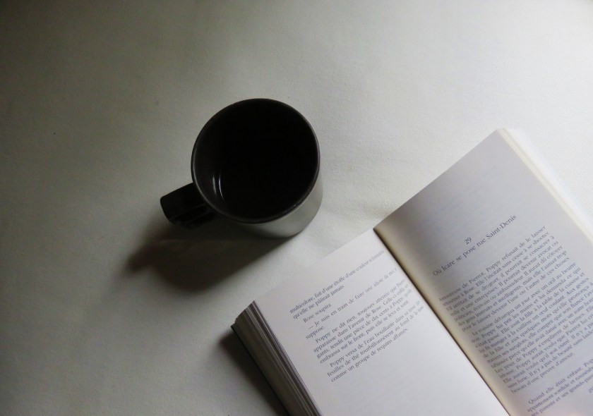 lefilrougelit, lefilrouge, leslivresquifontdubien, lecture, livres, bibliothérapie, littérature, HôtelLonelyHearts, HeatherO'Neill, littératurequébécoise, Livreécritparunefemme, HistoiredeMontréal, Orphelinat, Histoired'amour, Prostitution, Alto