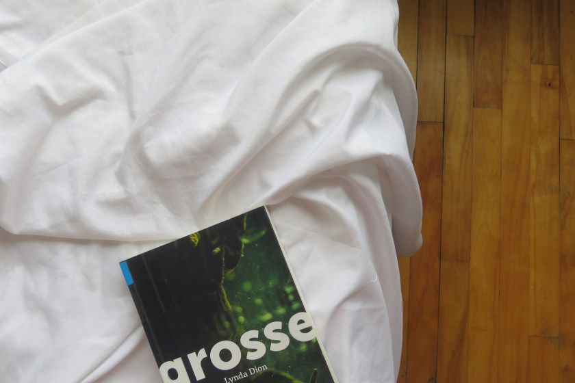 le fil rouge, le fil rouge lit, les livres qui font du bien, bibliothérapie, livres, lecture, littérature, littérature québécoise, Grosse, Lynda Dion, Hamac, corps, complexes corporels, journal intime