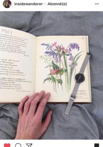 33216189_10216216961679333_2628912648242069504_n