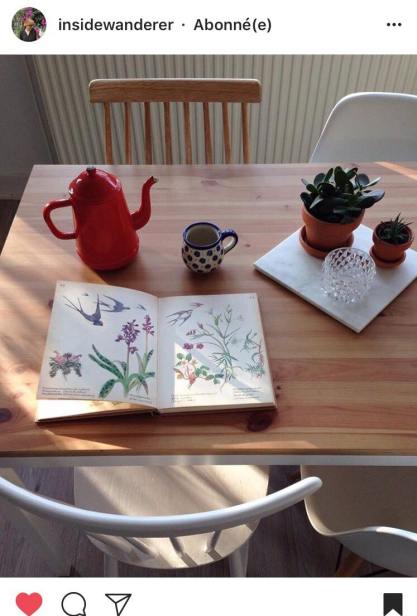 33224623_10216216960879313_6083902744802885632_n