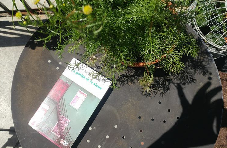 le fil rouge, lecture, littérature, le fit rouge lit, bibliothérapie, les livres qui font du bien, littérature québécoise, Marie-Renée Lavoie, La petite et le vieux, club de lecture, rive-sud