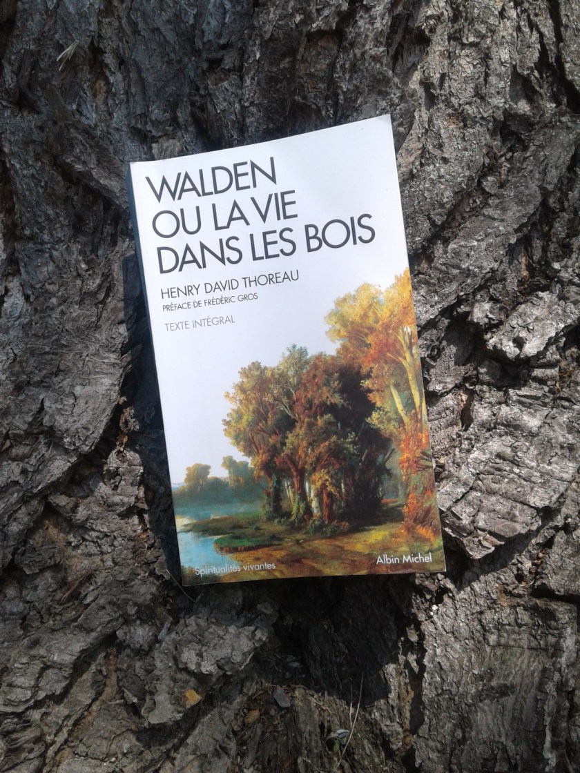 le fil rouge, le fil rouge lit, bibliothérapie, littérature, essai, lecture, livres, livres qui font du bien, Walden, Walden ou la vie dans les bois, Henry David Thoreau, Albin Michel, Spiritualités vivantes, écologie, économie, retour à la terre, simplicité volontaire, minimalisme