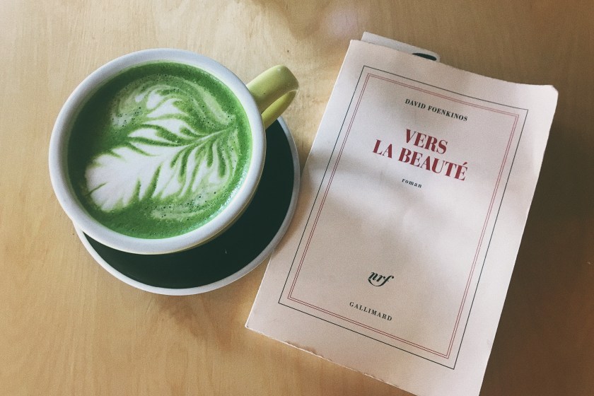 Le fil rouge, le fil rouge lit, bibliothérapie, littérature, lecture, livres, les livres qui font du bien, vers la beauté, David Foenkinos, Gallimard, beauté, art, musée, école, dépression, littérature étrangère