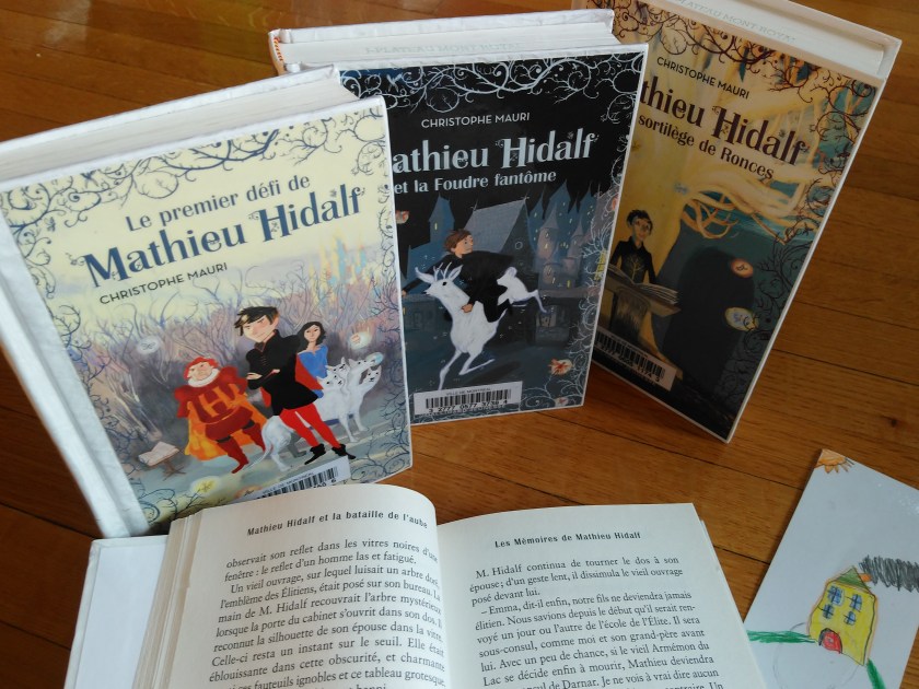 le fil rouge, le fil rouge lit, les livres qui font du bien, bibliothérapie, livres, lecture, Mathieu Hidalf, Christophe Mauri,