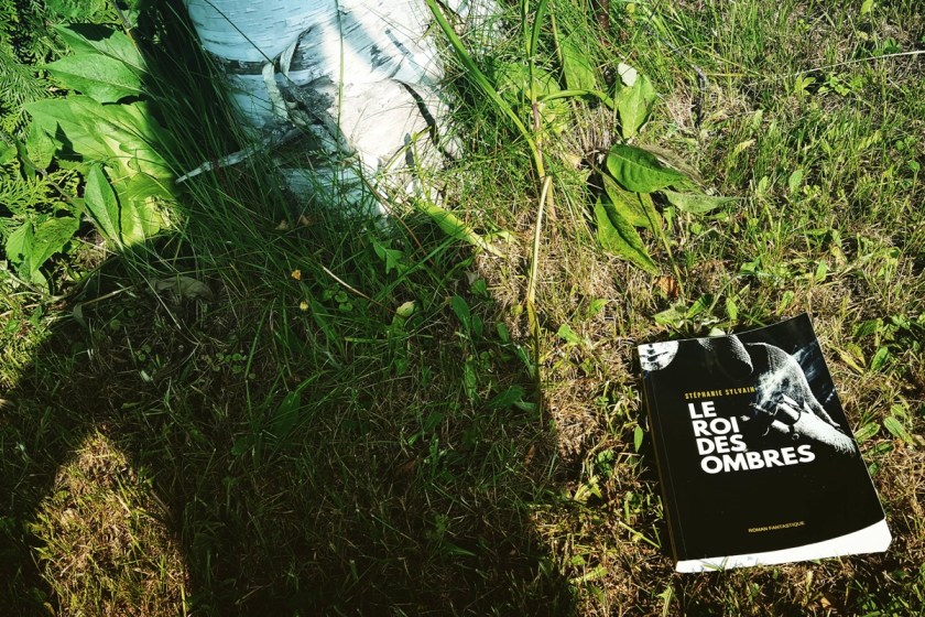 éditions Numeriklivres, Bibliothérapie, Historique, Le fil rouge, le fil rouge lit, Le Roi des ombres, lecture, les livres qui font du bien, littérature, livres, ombre et lumière, roman fantastique, santé mentale, SSFQ, Stéphanie Sylvain