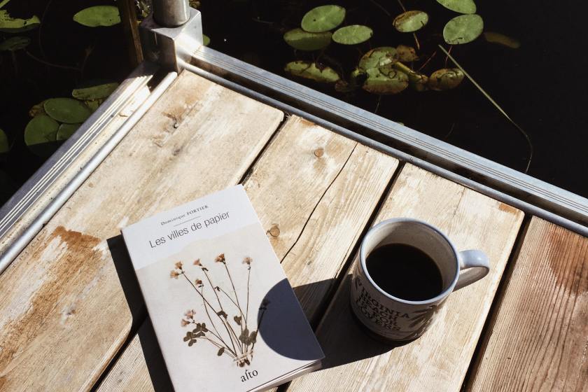 le fil rouge, le fil rouge lit, bibliothérapie, littérature, lecture, livres, les livres qui font du bien, les villes de papier, Dominique Fortier, éditions alto, littérature québécoise, Emily Dickinson, poésie, poète américaine,