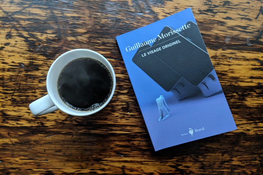 le fil rouge, le fil rouge lit, bibliothérapie, roman, roman québécois, littérature, livres, les livres qui font du bien, lecture, réflexion littéraire, réseaux sociaux, Guillaume Morissette, Le visage originel, Visage originel, Boréal, les éditions Boréal, art post-internet, post internet