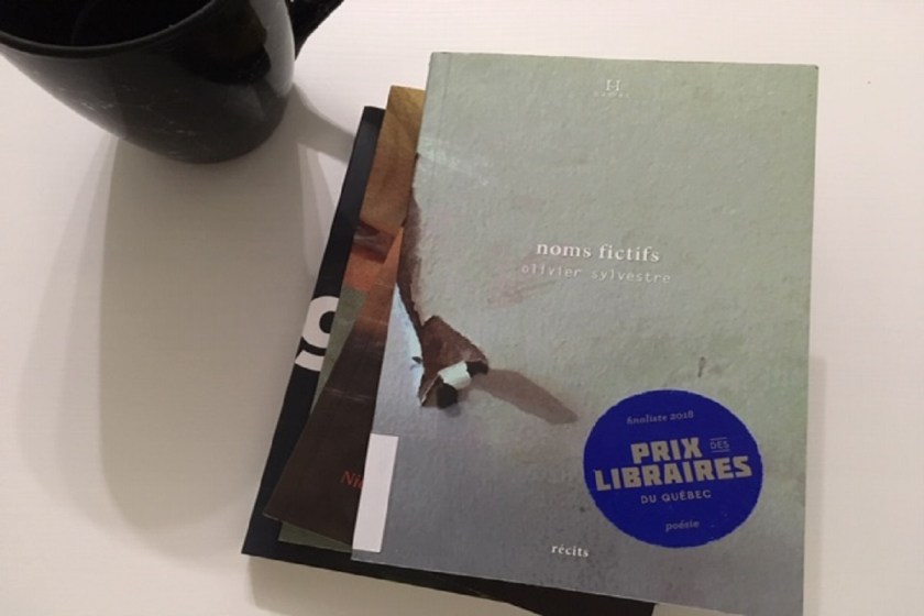 le fil rouge; le fil rouge lit; bibliothérapie; littérature; lecture; livres; les livres qui font du bien; noms fictifs; olivier sylvestre; hamac; littérature québécoise; alcoolisme; drogues; itinérance;