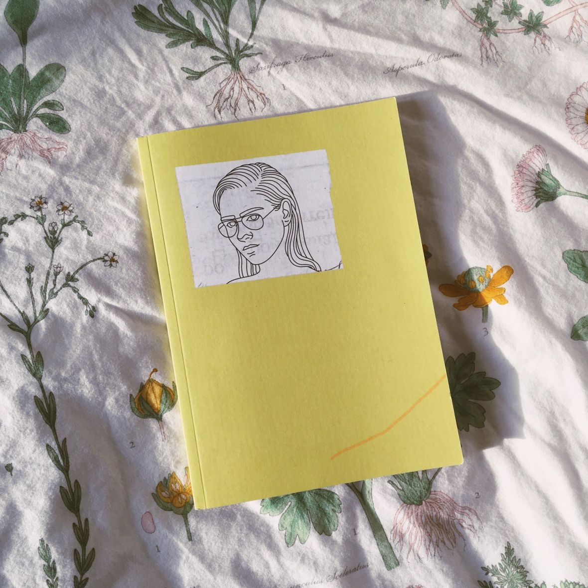 le fil rouge, le fil rouge lit, livres, lecture, littérature, les livres qui font du bien, bibliothérapie, Lydia Képinski, Premier Juin, Livre-CD, Musique québécoise, Chansons,