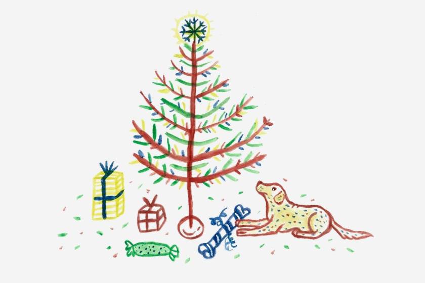 le fil rouge, le fil rouge lit, littérature jeunesse, pierre lapin, beatrix potter, je t'aimerai toujours, pride and prejudice, the nutracker, alban le courage, Marilou, Noel, temps des fêtes