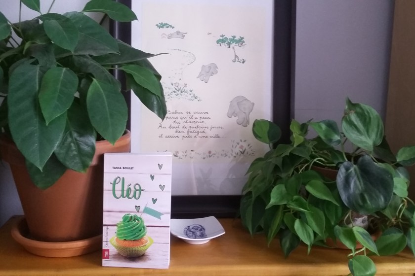 Le fil rouge, le fil rouge lit, #Lefilrouge, #lefilrougelit, bibliothérapie, livres, lecture, littérature, roman pour adolescent.e.s, jeunesse, Tania Boulet, Cléo, Québec Amérique, Cuisine, Amour,